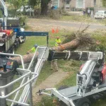 Professional tree crew with safety gear operating a crane in Tupelo, MS.
