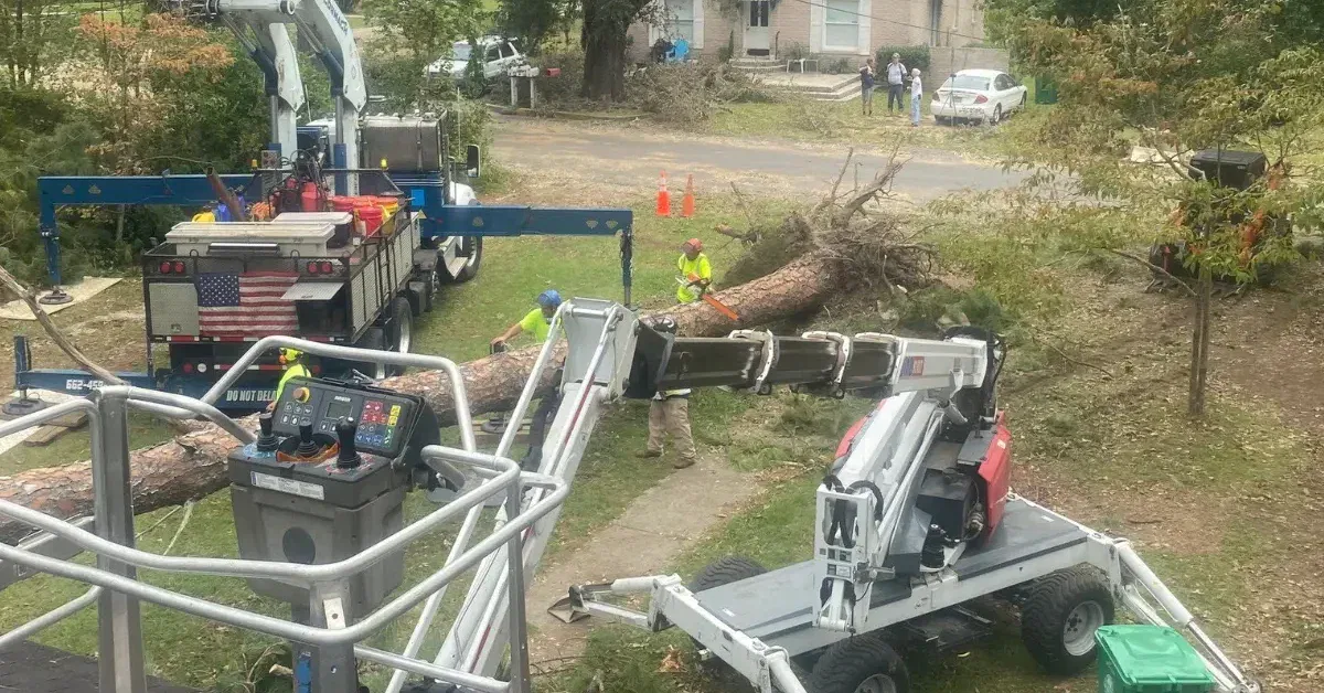 Professional tree crew with safety gear operating a crane in Tupelo, MS.