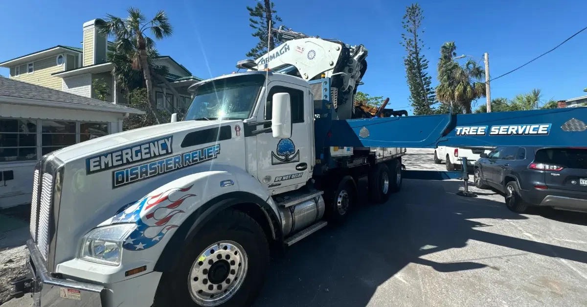 Tree Service Near Me