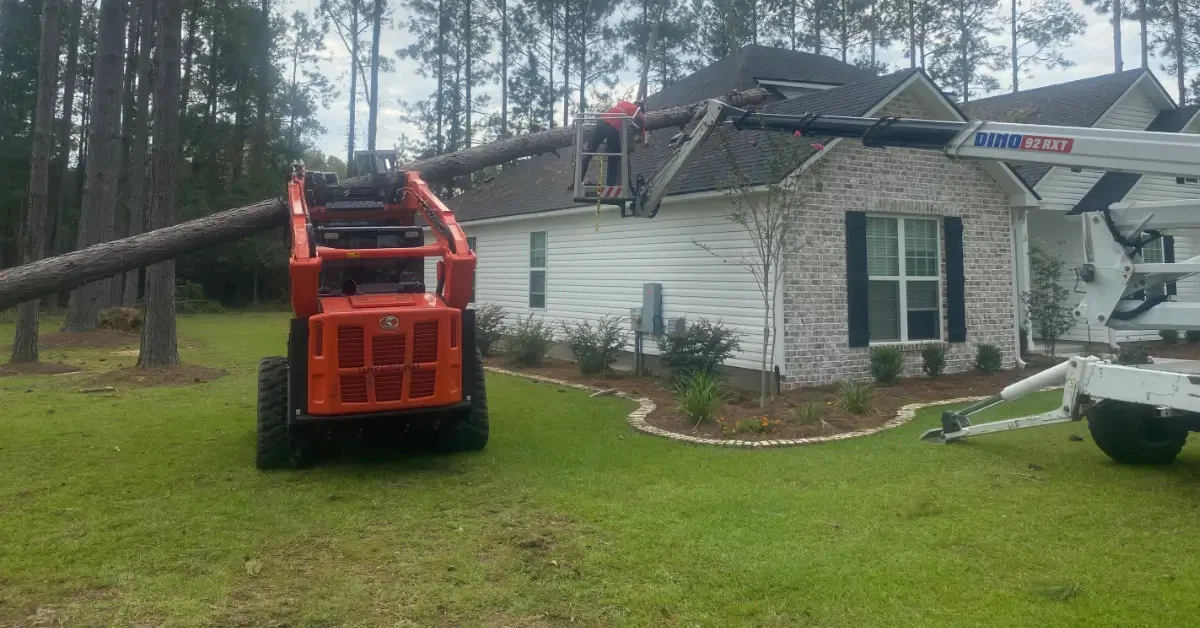 Affordable Tree Service