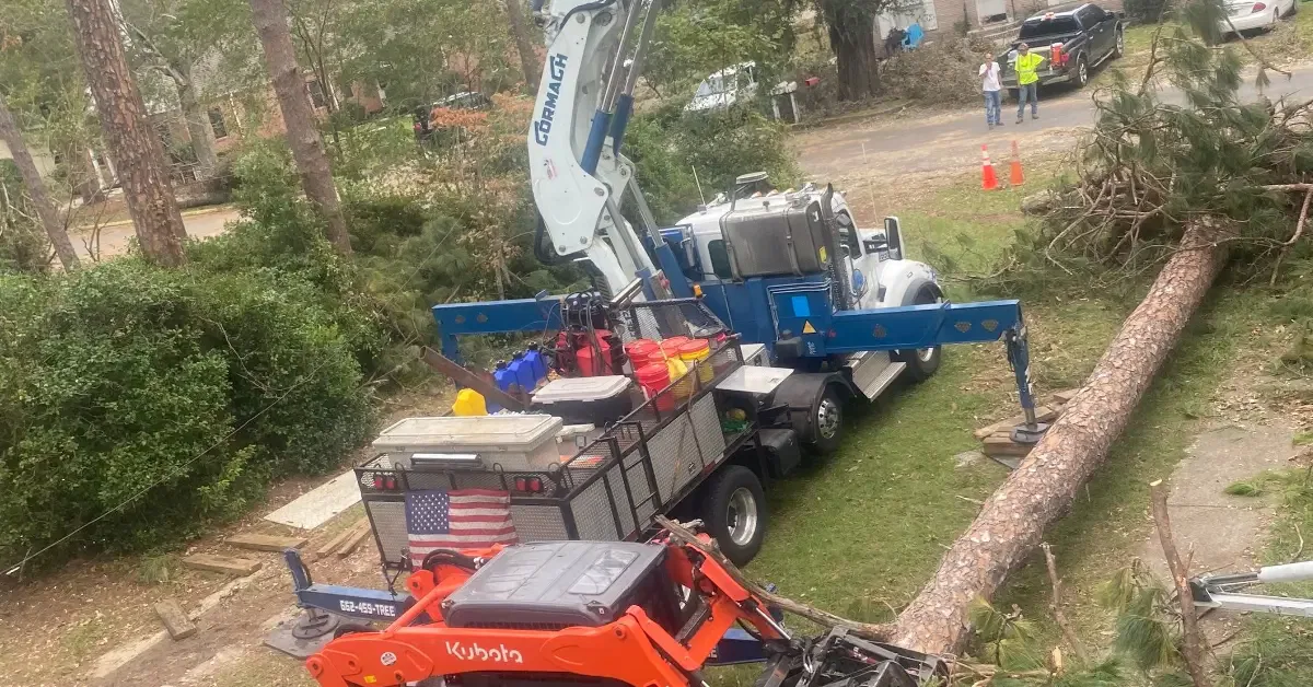 Certified arborist removing a large tree in a Tupelo, MS neighborhood using safety equipment and professional tools.