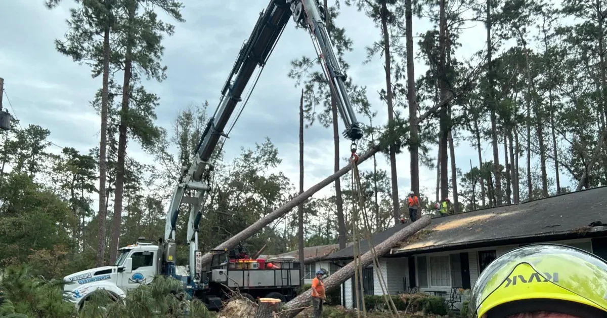 Tree Service Company