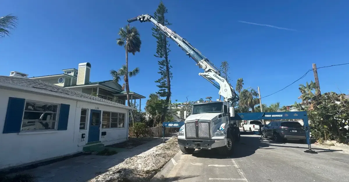 Tree Trimming in Tupelo MS