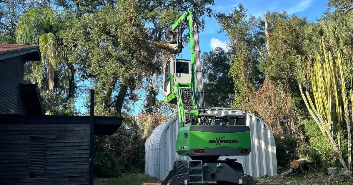 Tree Cabling & Bracing