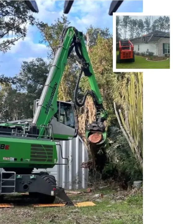 About Sidden Tree Service