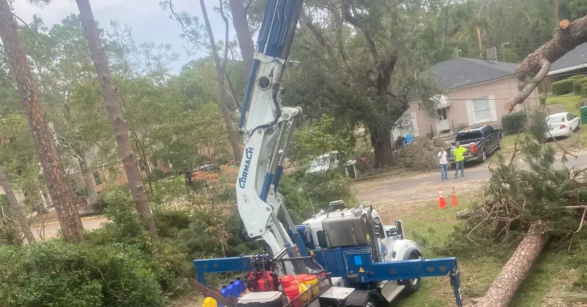 emergency tree removal crew removing storm-damaged tree from residential roof in Mississippi