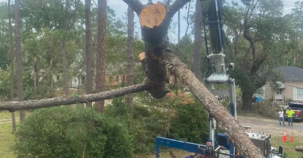 Tree service work in Aberdeen MS showing removal crew and equipment on local terrain