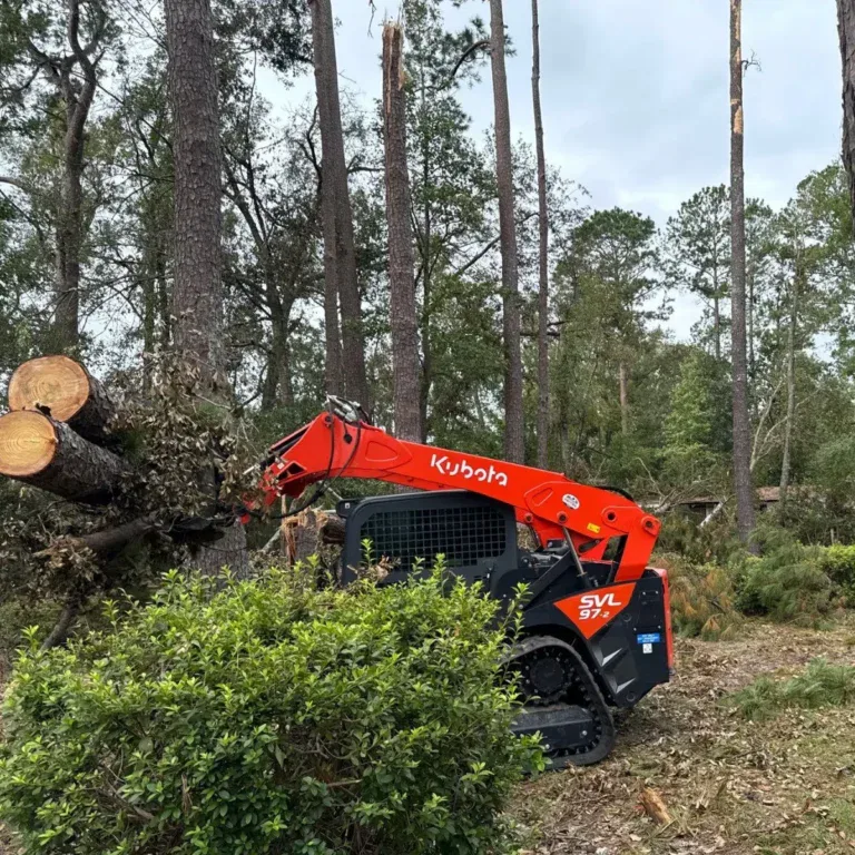 Professional Tree Service in Shannon, MS