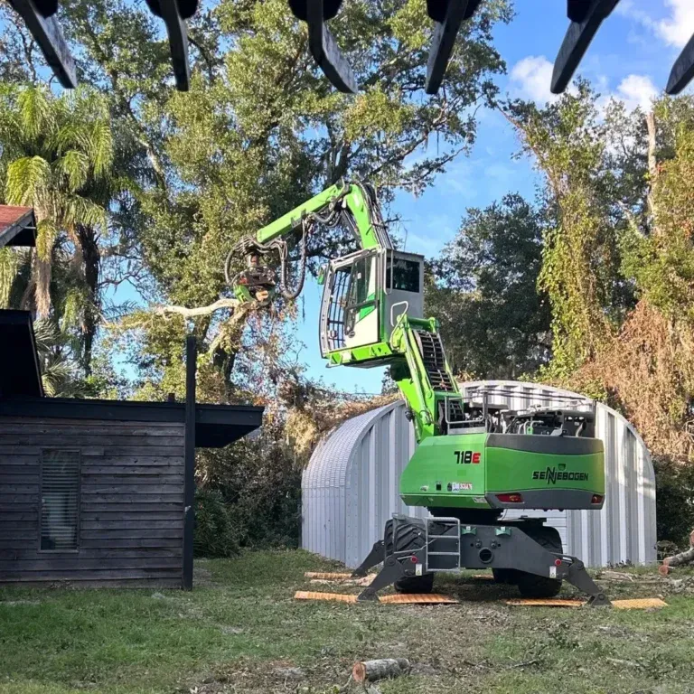 Tree care crew performing trimming work in Booneville, MS backyard
