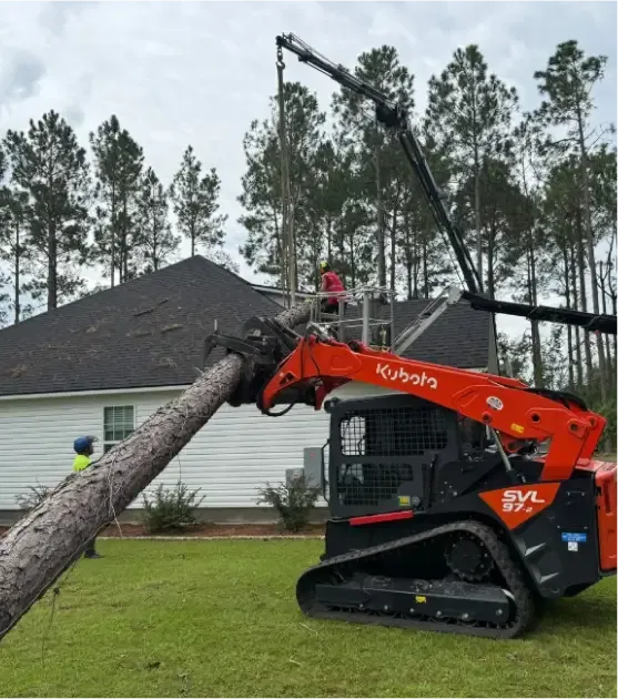 Commercial Tree Service