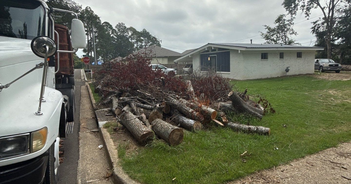 Broken tree limbs after a storm in Tupelo neighborhood