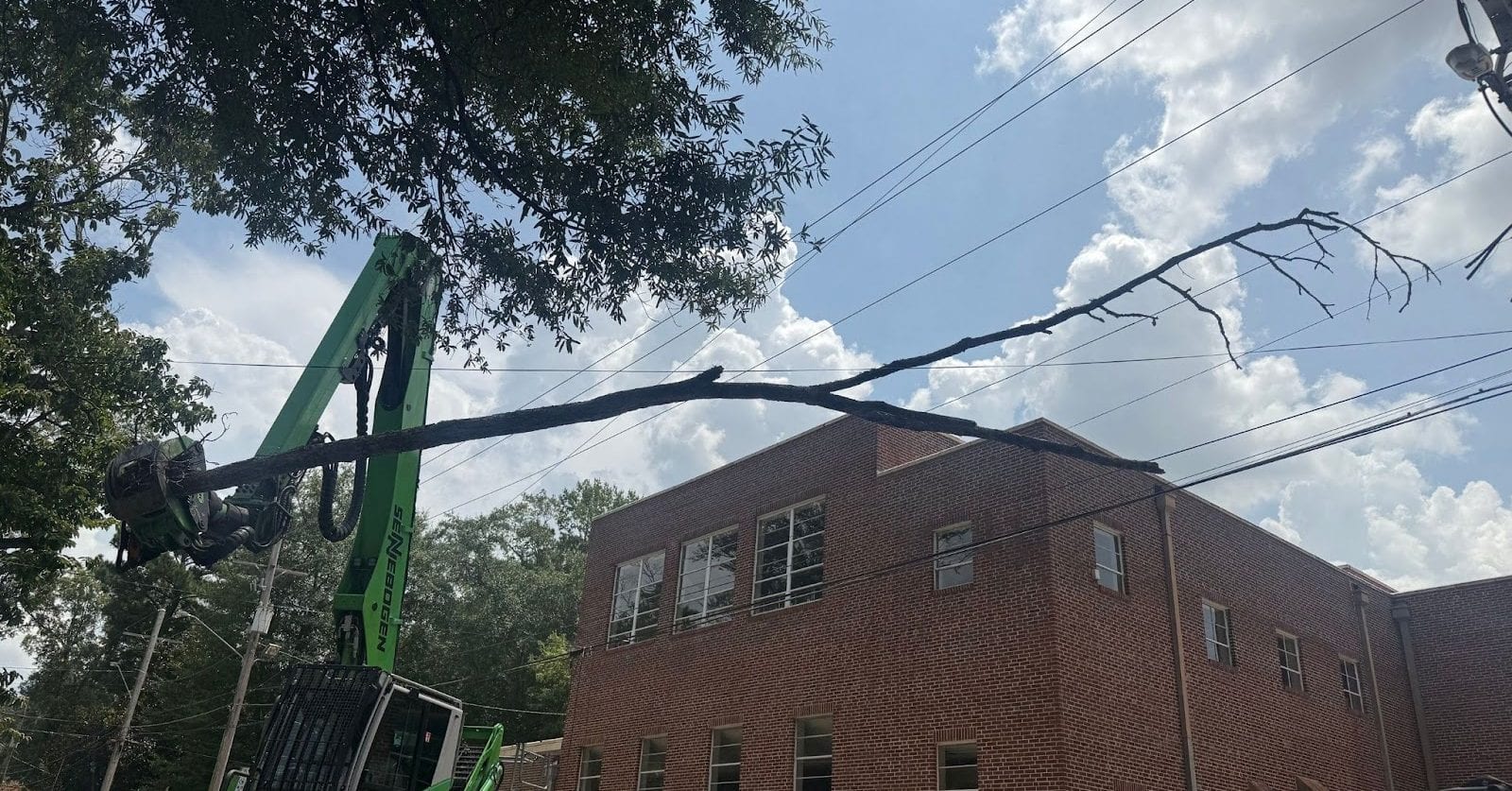 Commercial Tree Removal in Tupelo MS
