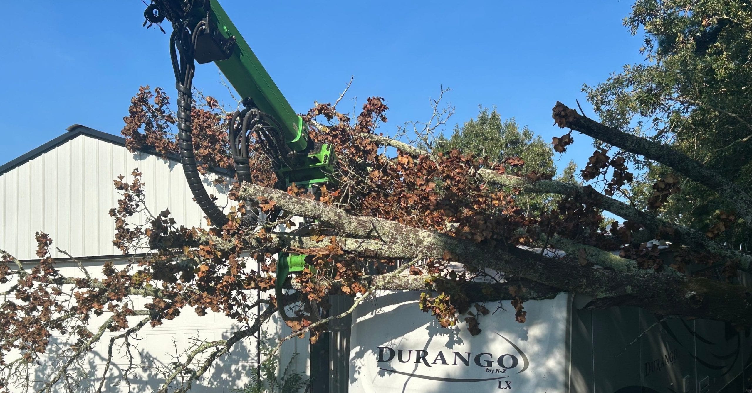 Arborist staking a leaning young tree in a Tupelo yard after heavy rain