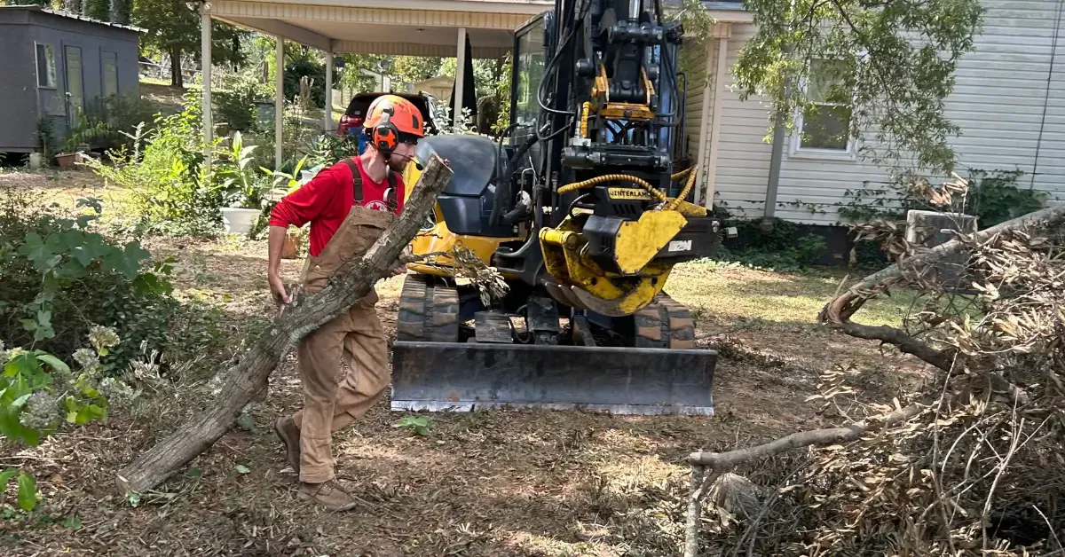 Forestry mulching machine clearing brush in Tupelo, Mississippi