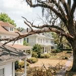 Large dead oak branch hanging over a residential roof in Tupelo, MS
