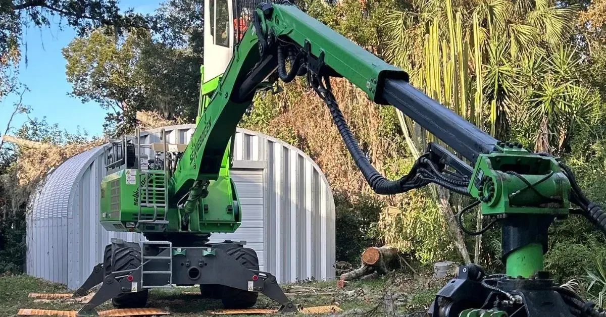 Tree Transplant Services