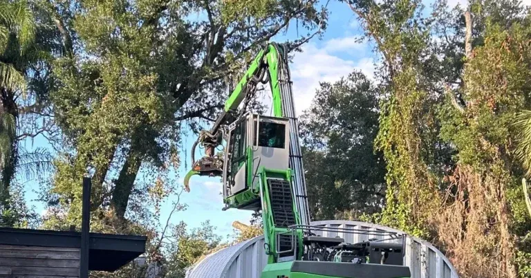 Homeowner inspecting overgrown backyard tree for trimming in Tupelo, MS
