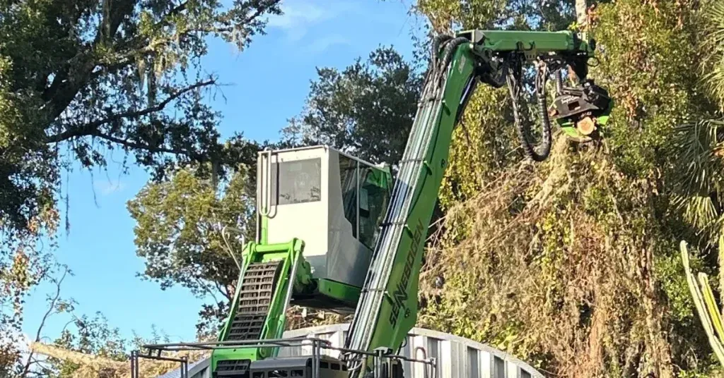 Arborist team trimming tree branches in a New Albany, MS residential neighborhood