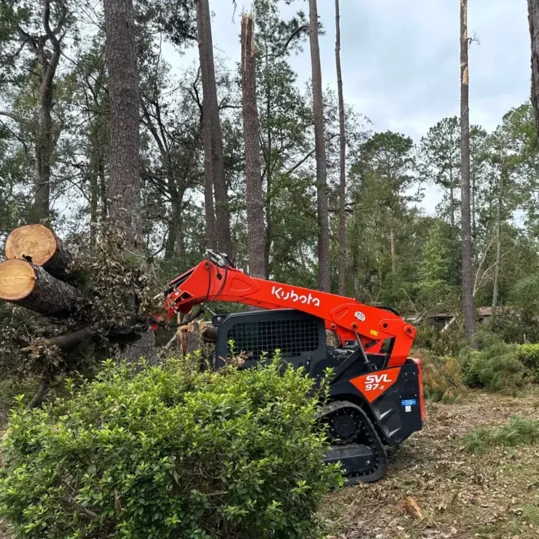 Professional Tree Service in Shannon, MS