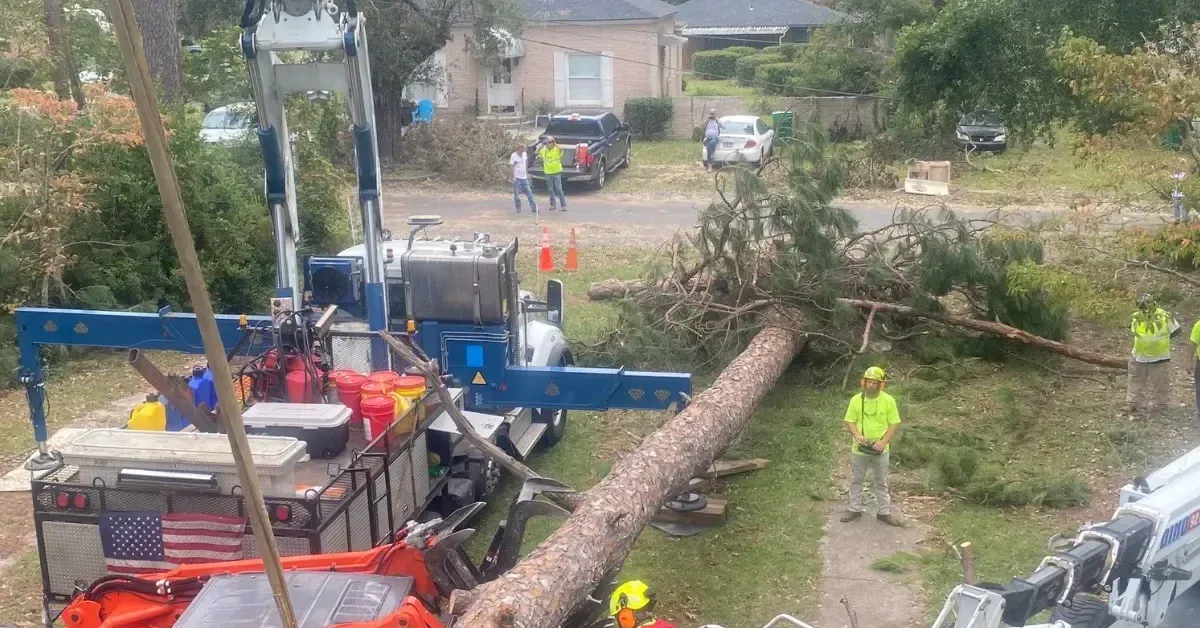Crane crew removing tree from house roof while adjuster and homeowner discuss