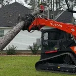 Arborist removing a dead oak tree in Tupelo, MS, for homeowner safety.