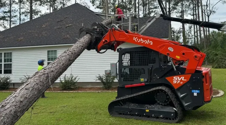 Arborist removing a dead oak tree in Tupelo, MS, for homeowner safety.