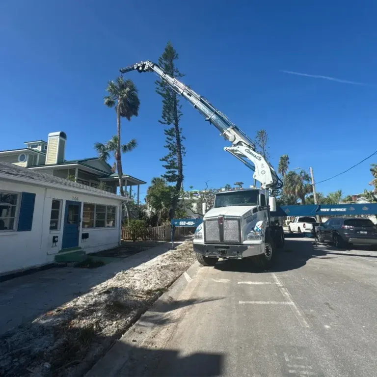 reliable tree service in Mooreville, MS