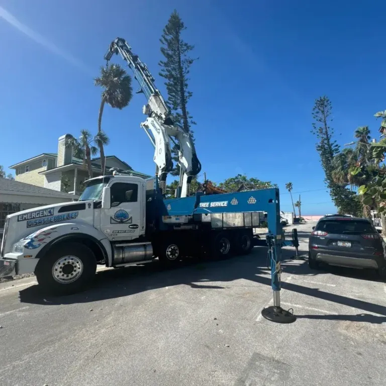 Tree Service Pontotoc, MS | Garrison McKinney