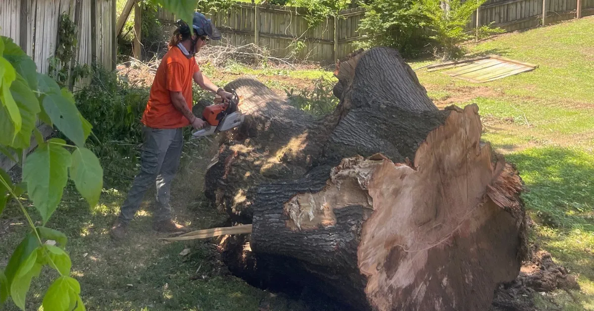 stump grinding