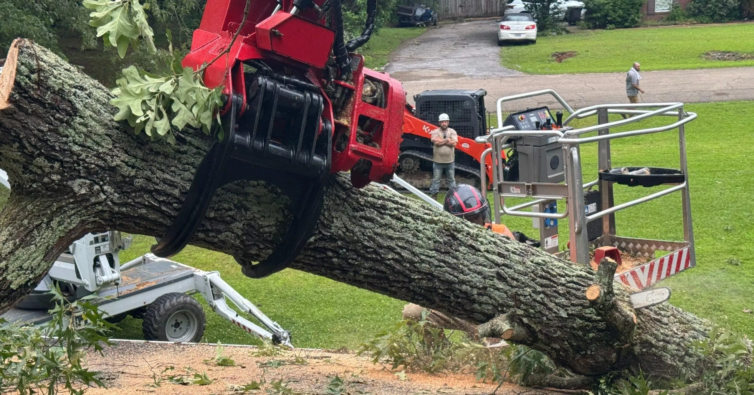 Fallen tree on a Tupelo, MS home after storm damage