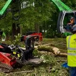 Certified arborist providing tree care in Fulton, Mississippi