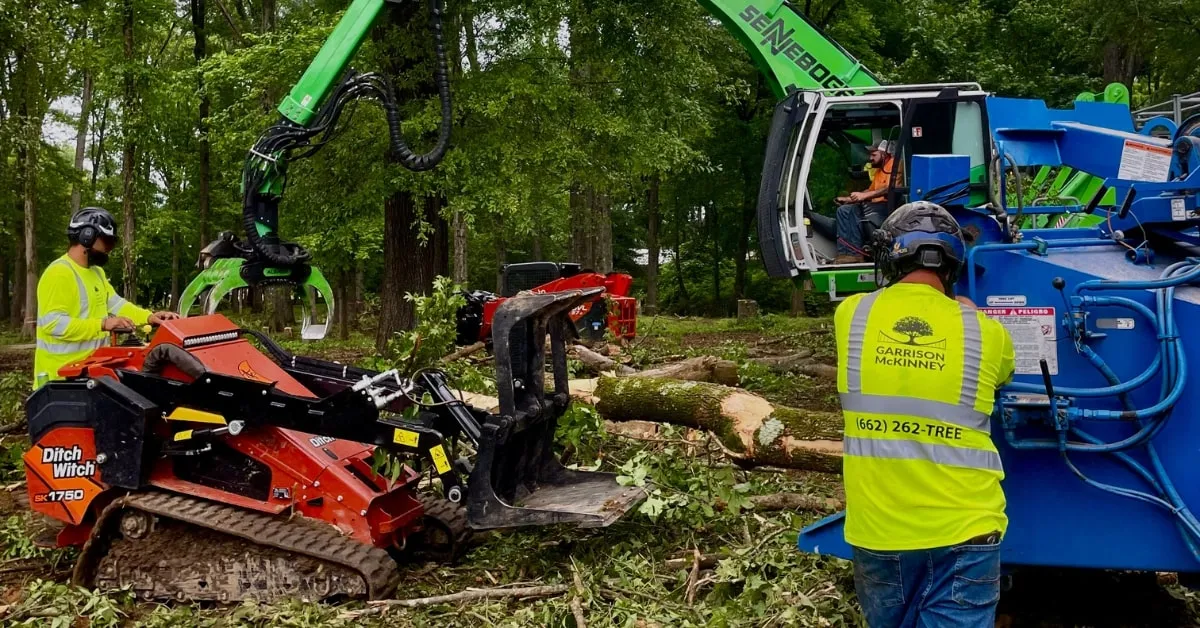 Certified arborist providing tree care in Fulton, Mississippi