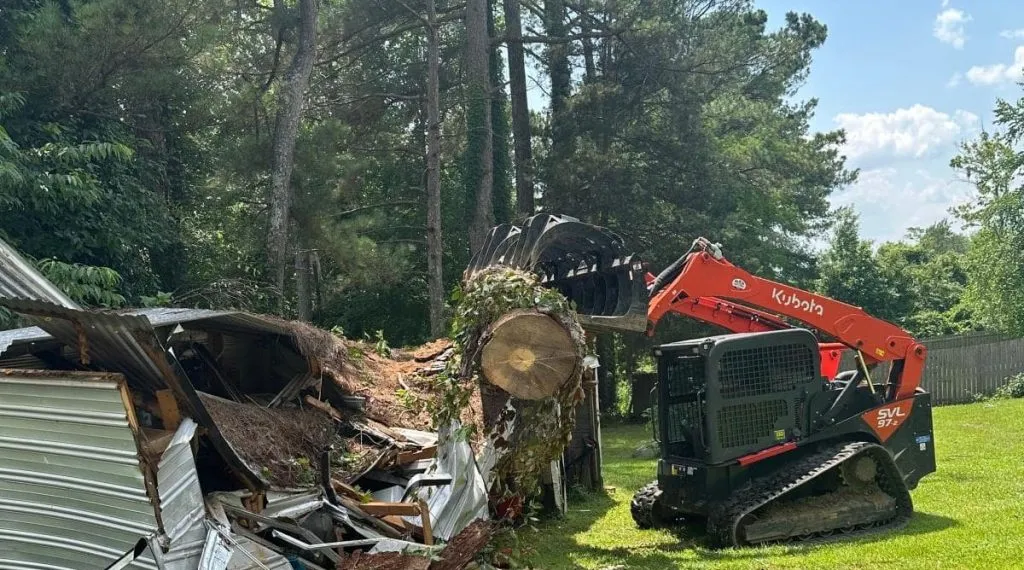 Leaning tree over property line in a Mississippi neighborhood
