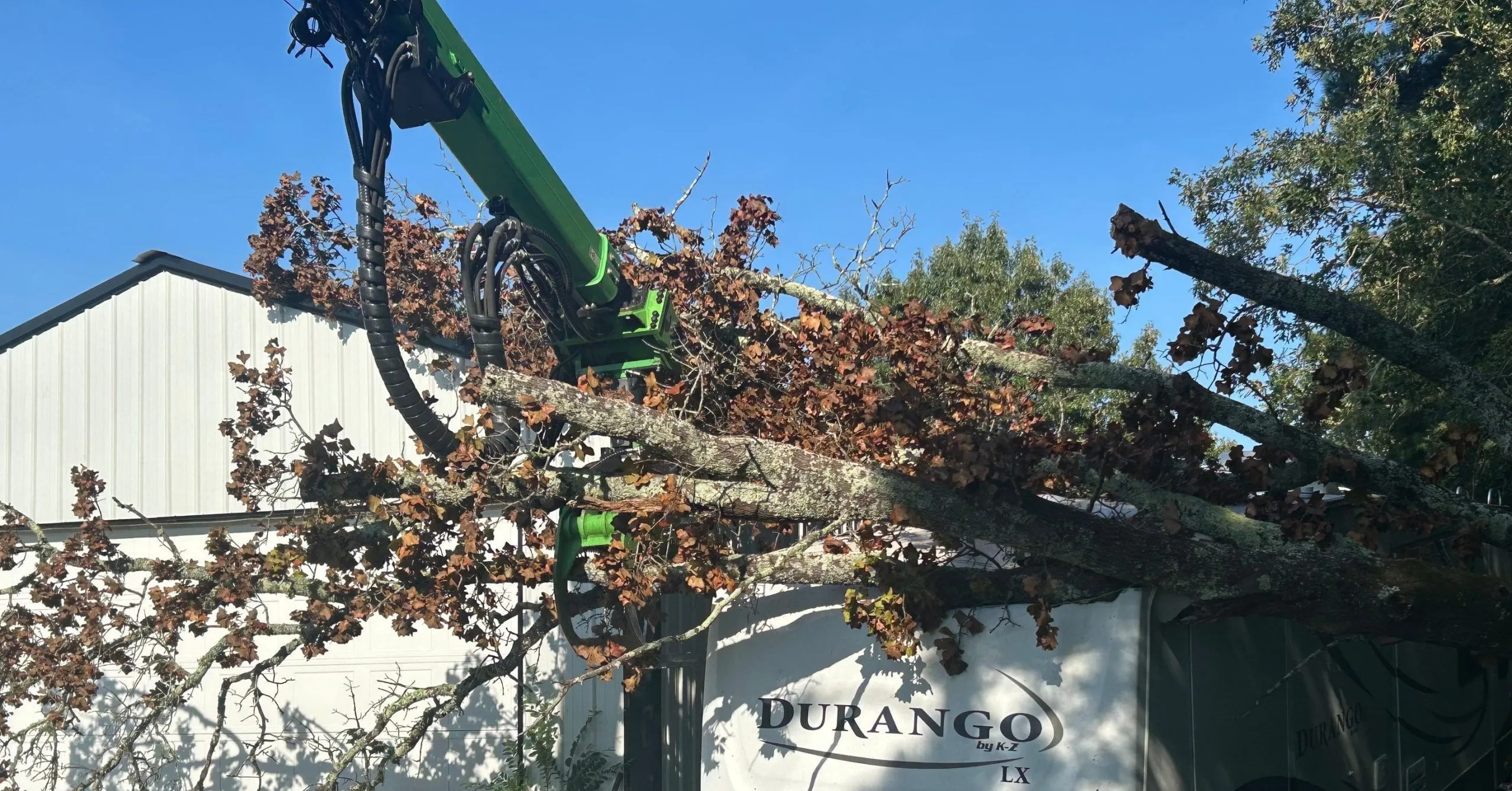 Arborist staking a leaning young tree in a Tupelo yard after heavy rain