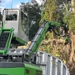 Storm Prep & Support Systems for Trees in North Mississippi