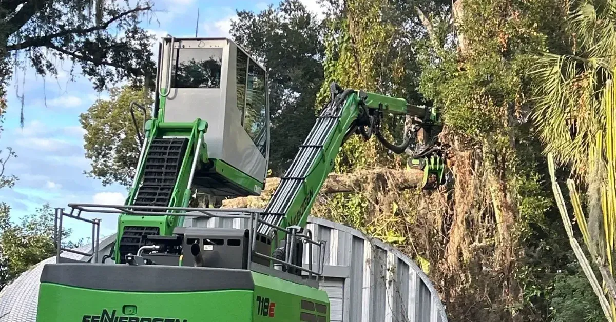Storm Prep & Support Systems for Trees in North Mississippi